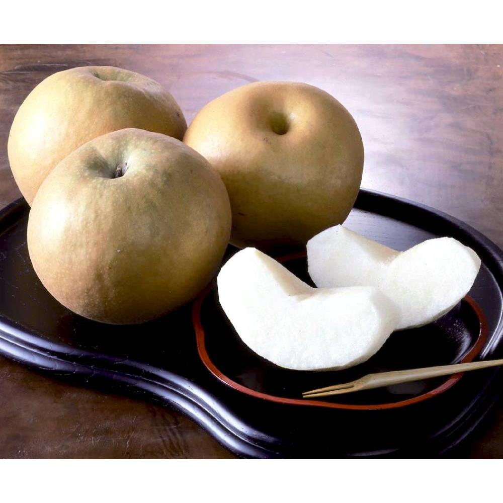 新高梨