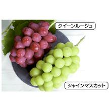 長野県産 ぶどう2種詰合せ