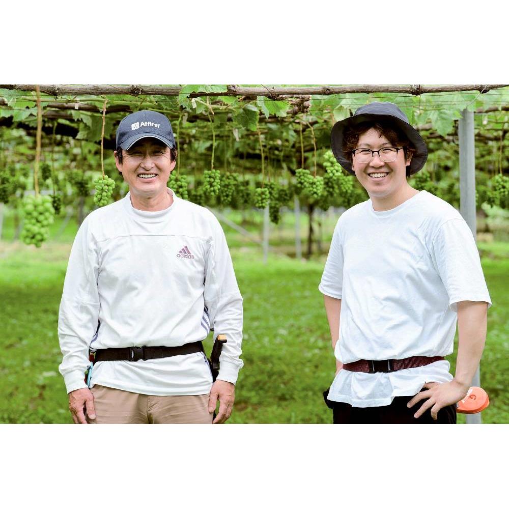 長野県産 ぶどう2種詰合せ