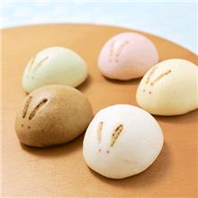 銘菓 福うさぎ5種詰合せ 20個入
